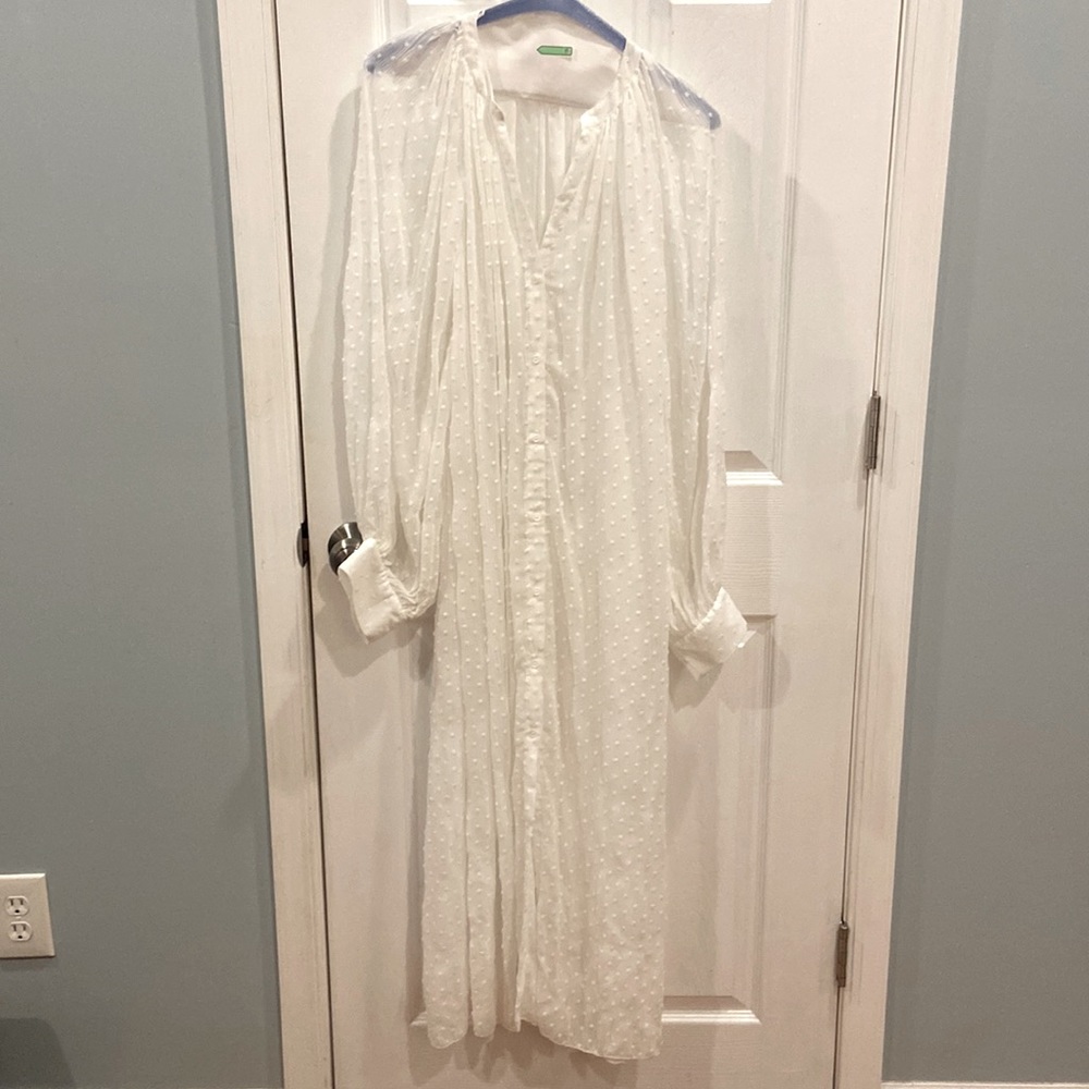 Zara Midi Dotted Mesh Dress - Sheer Balloon